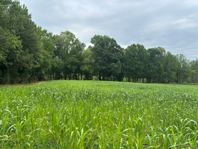 Mays Crossroads Rd, Youngsville, NC à vendre - Photo de l’immeuble – Image 2 sur 10