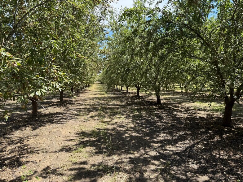 Yosemite Boulevard, Modesto, CA à vendre - Autre – Image 2 sur 8