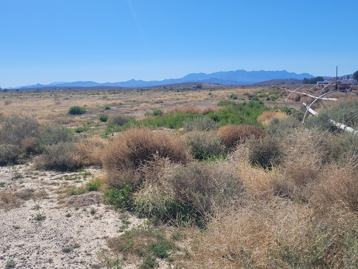 View Photo
