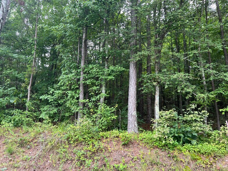 119 Kirk Rd NW, White, GA à vendre - Photo de l’immeuble – Image 2 sur 5
