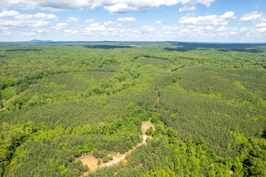 0 Green Creek Road, Schuyler, VA à vendre - Photo de l’immeuble – Image 3 sur 30