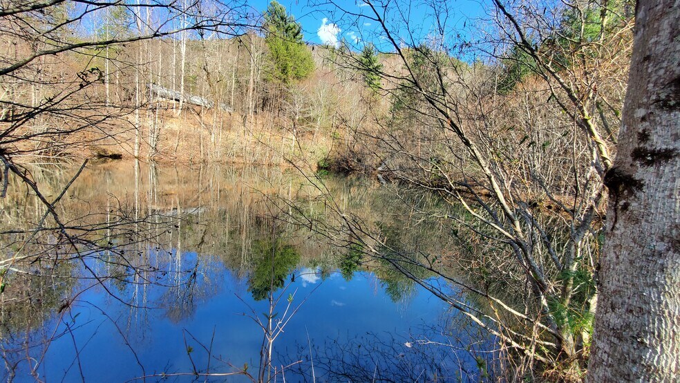 Mountain Cove Estates Rd, Cherry Log, GA à vendre - Photo de l’immeuble – Image 2 sur 41
