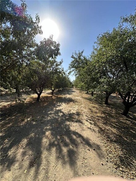 27726 Palm Street, Pixley, CA à vendre - Photo de l’immeuble – Image 2 sur 3