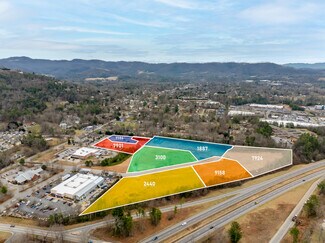 Plus de détails pour Monticello Village Dr, Weaverville, NC - Terrain à vendre