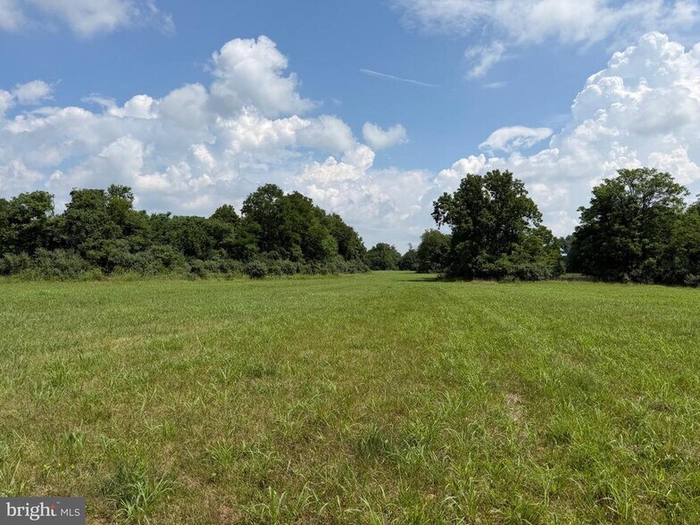 10068 Harry Byrd Hwy, Berryville, VA à vendre - Autre – Image 3 sur 10