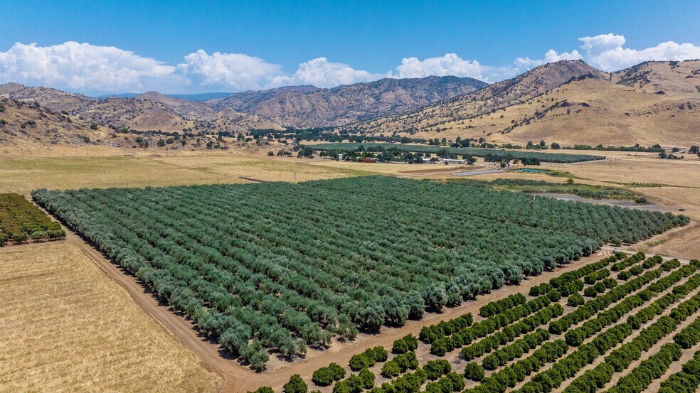 19400 Avenue 398, Woodlake, CA à vendre - Aérien – Image 3 sur 9