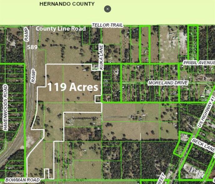 20139 Bowman Rd, Spring Hill, FL à vendre - Photo principale – Image 1 sur 3