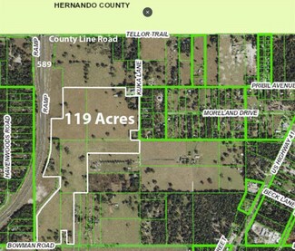 Plus de détails pour 20139 Bowman Rd, Spring Hill, FL - Terrain à vendre