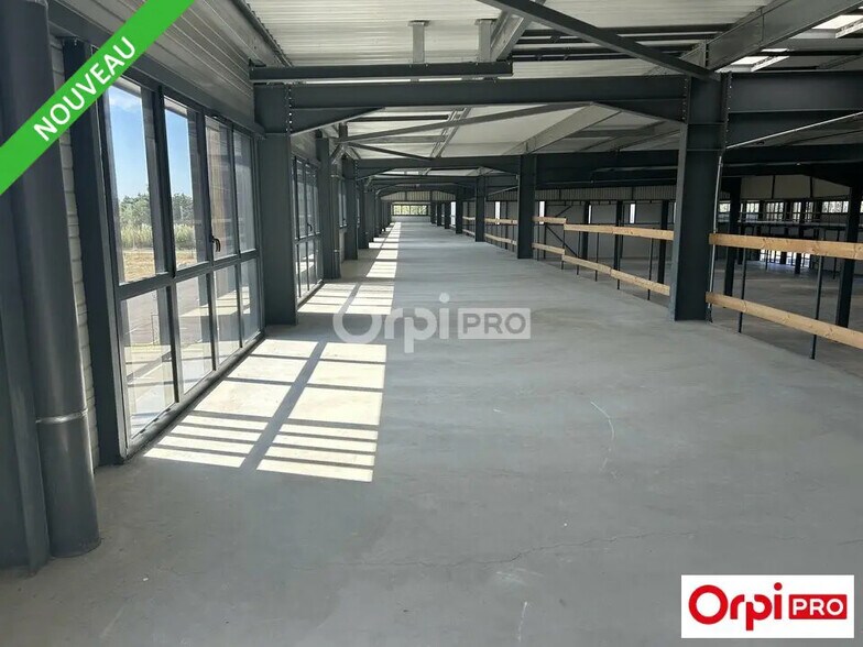 Local d’activités dans Pierrelatte à louer - Photo intérieure – Image 2 sur 3