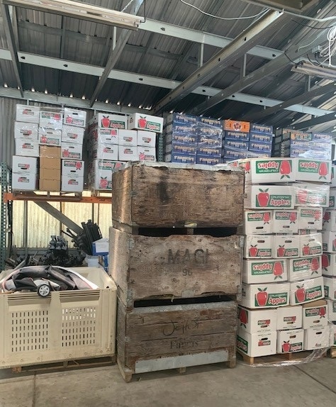 1168 Urania Ave, Encinitas, CA à louer Photo principale– Image 1 sur 8