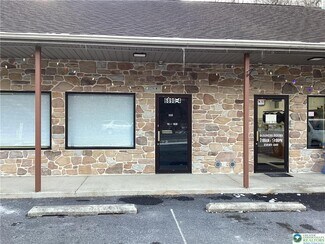 Plus de détails pour 6890 Route 309, New Tripoli, PA - Local commercial à louer