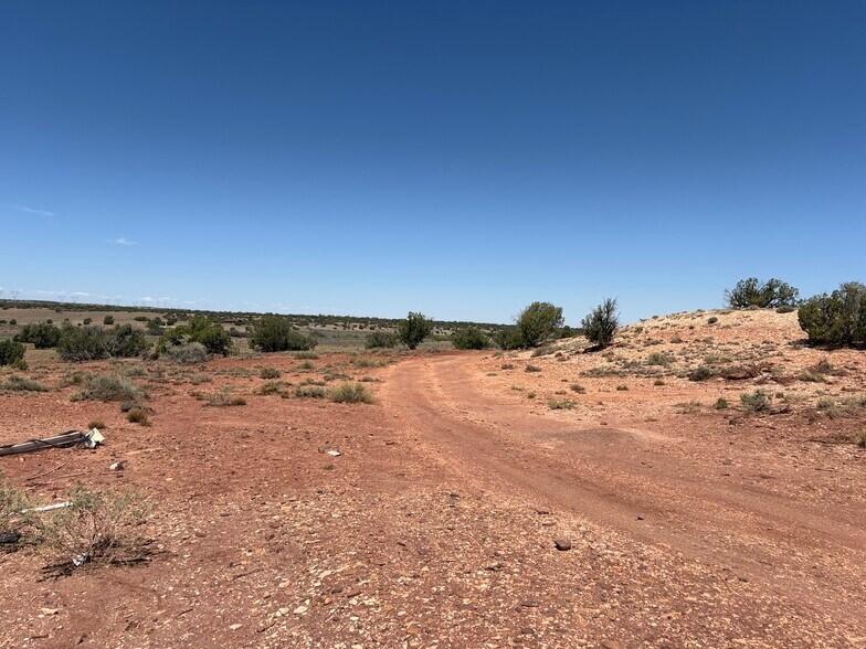 156 County Road N9146 rd, Concho, AZ à vendre - Photo de l’immeuble – Image 3 sur 8
