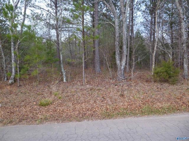 5900 Martin Ave NE, Fort Payne, AL à vendre - Autre – Image 2 sur 9