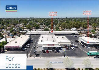 Plus de détails pour 1311-1375 N Blackstone Ave, Fresno, CA - Local commercial, Local d'activités à louer