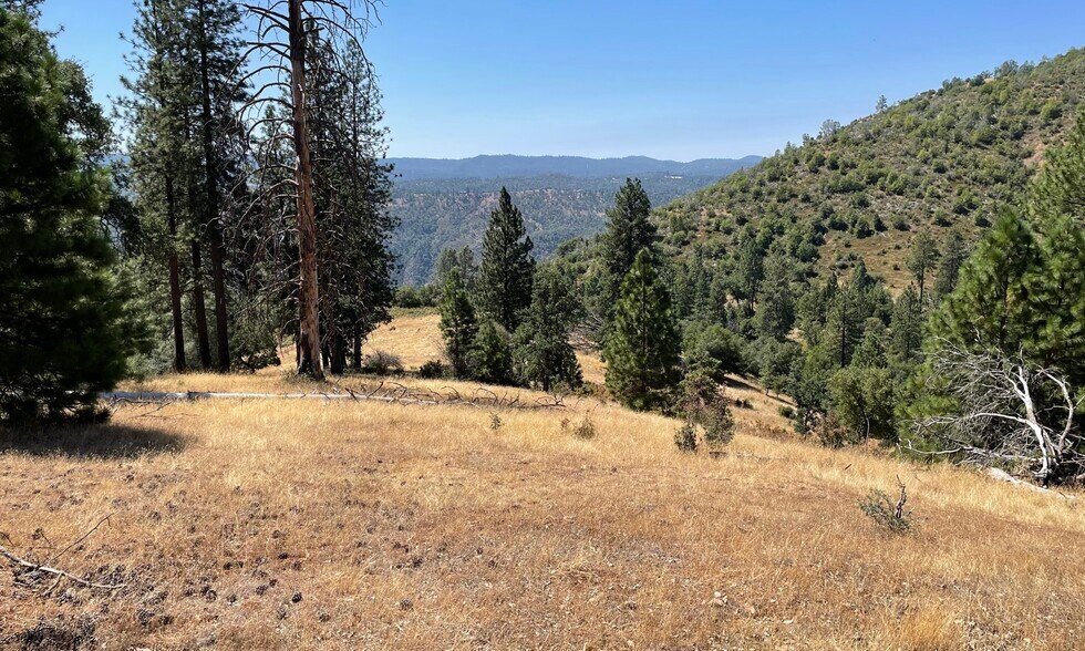 00000 Forrest Road 1N19, Tuolumne, CA à vendre - Photo de l’immeuble – Image 2 sur 24