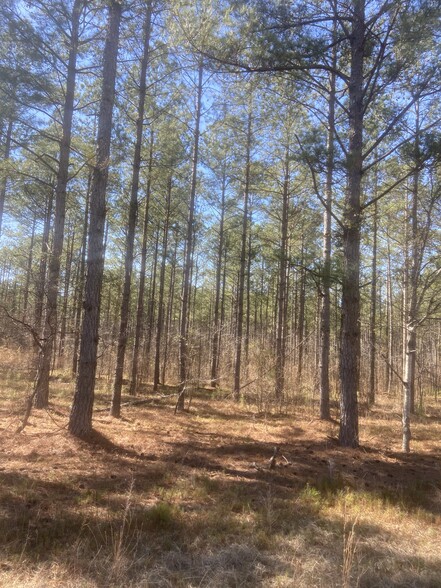 N Highway 171 Edford Reese Road Rd, Gibson, GA à vendre - Autre – Image 2 sur 8