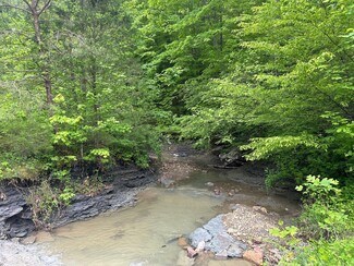 Plus de détails pour 275 Horns River Rd, Irvine, KY - Terrain à vendre