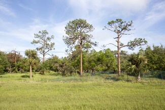 Plus de détails pour 2490 W SR 80, LaBelle, FL - Terrain à vendre