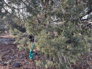 Plus de détails pour 17411 Ranch Rd, Williams, AZ - Terrain à vendre