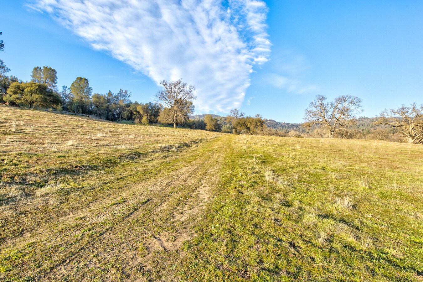 View Photo