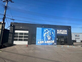 Plus de détails pour 401 S Maple Rd, Ann Arbor, MI - Local commercial à vendre