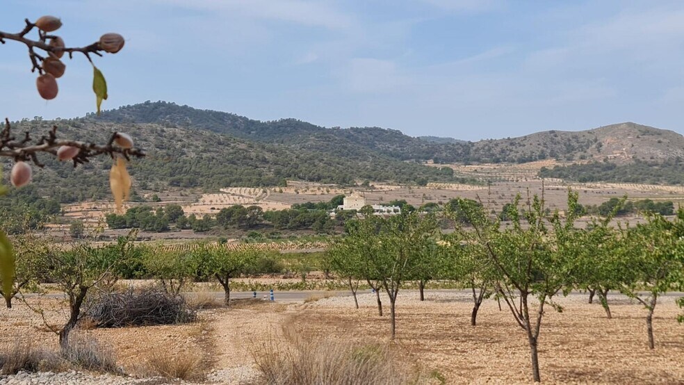Terrain dans Algueña, Alicante à vendre - Aérien – Image 2 sur 8
