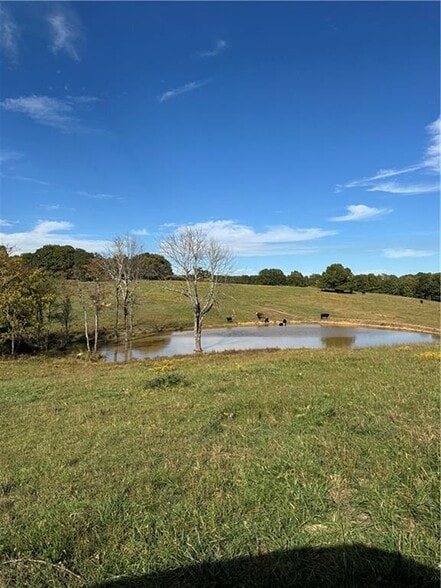 17140 Skelton Rd, Winslow, AR à vendre - Photo principale – Image 1 sur 10