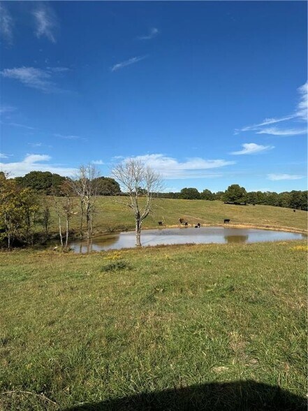 17140 Skelton Rd, Winslow, AR à vendre - Photo principale – Image 2 sur 10