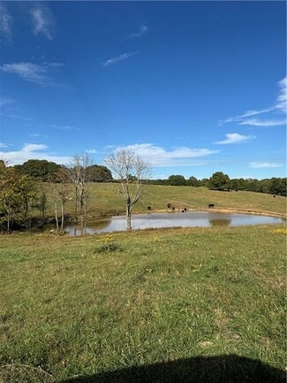 Plus de détails pour 17140 Skelton Rd, Winslow, AR - Terrain à vendre
