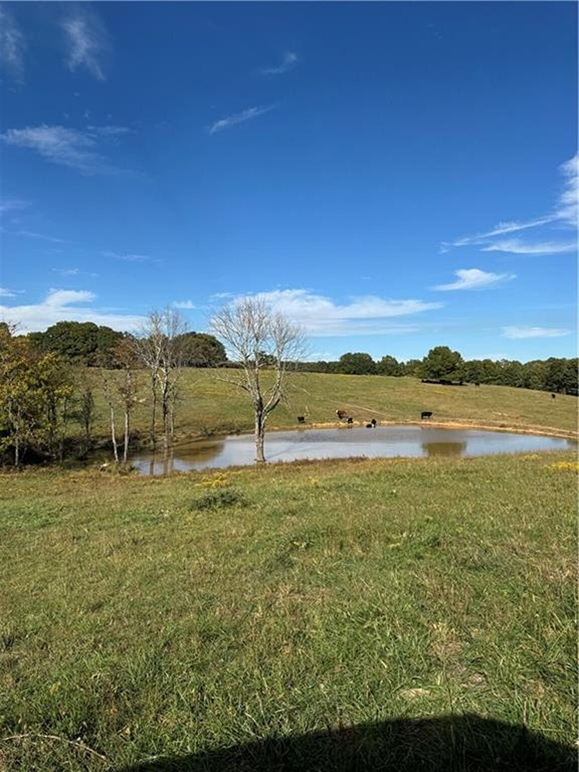 17140 Skelton Rd, Winslow, AR à vendre Photo principale– Image 1 sur 11