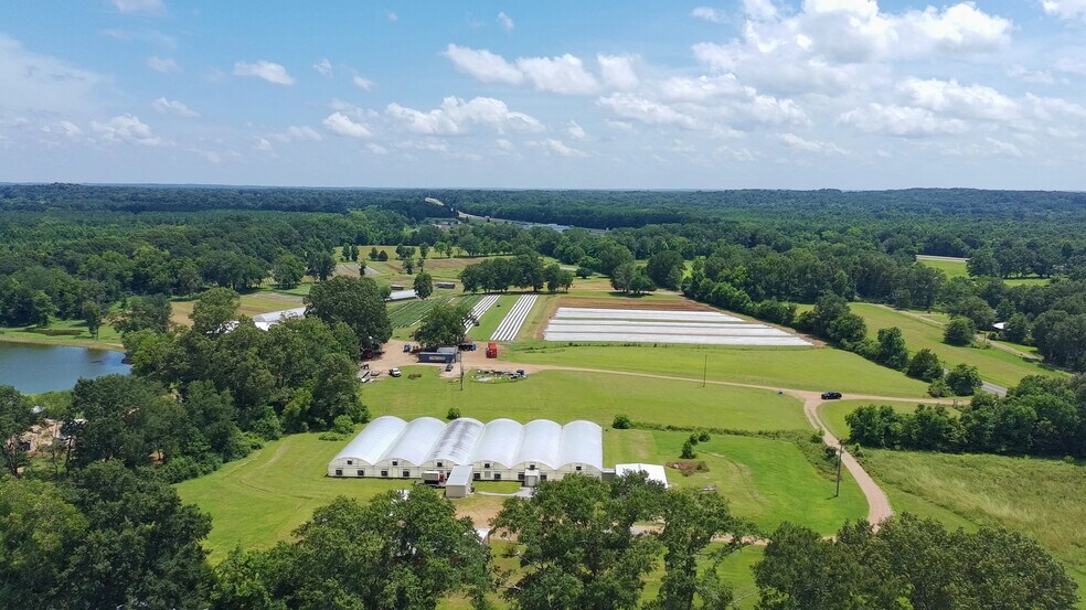 256 1st St, Flora, MS à vendre - Aérien – Image 2 sur 8