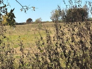 Plus de détails pour 27.6 Acres on Winn Rd – Terrain à vendre, Collinsville, TX