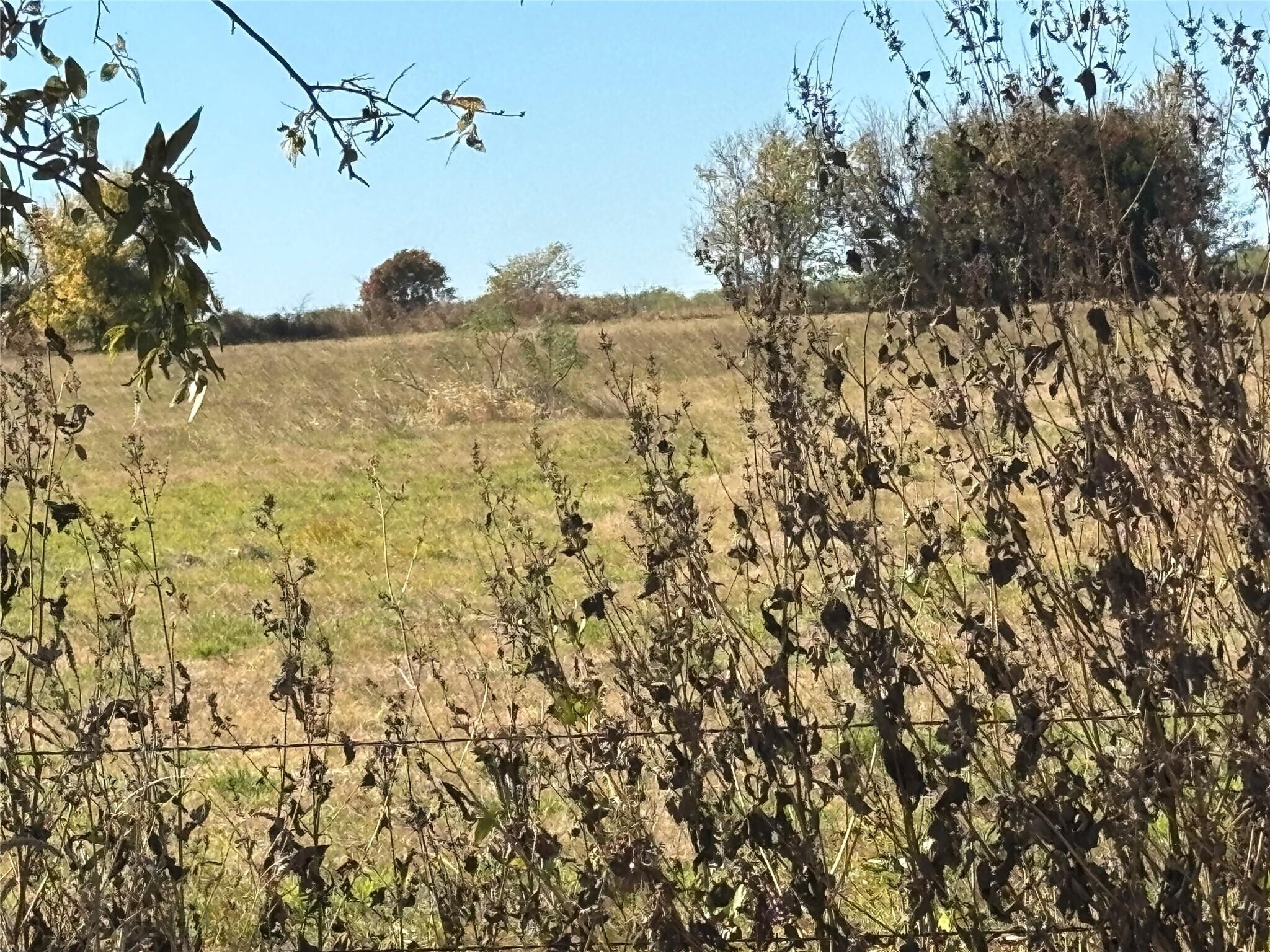 27.6 Acres on Winn Rd portefeuille de 2 biens à vendre sur LoopNet.fr Photo de l’immeuble– Image 1 sur 5