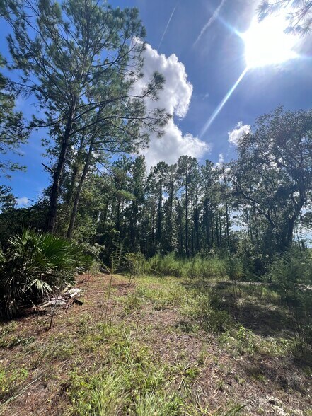 8000 County Road 13 N, Saint Augustine, FL à vendre - Photo de l’immeuble – Image 3 sur 10
