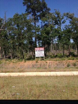 Plus de détails pour I-45 N Fwy, Conroe, TX - Terrain à vendre