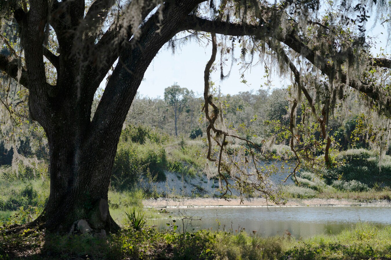 View Photo