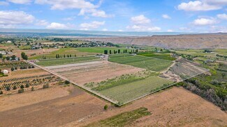 Plus de détails pour 20809 Nowhere Rd, Eckert, CO - Terrain à vendre