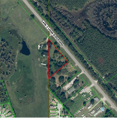 10251 Land O Lakes Blvd, Land O Lakes, FL à louer - Autre – Image 2 sur 4