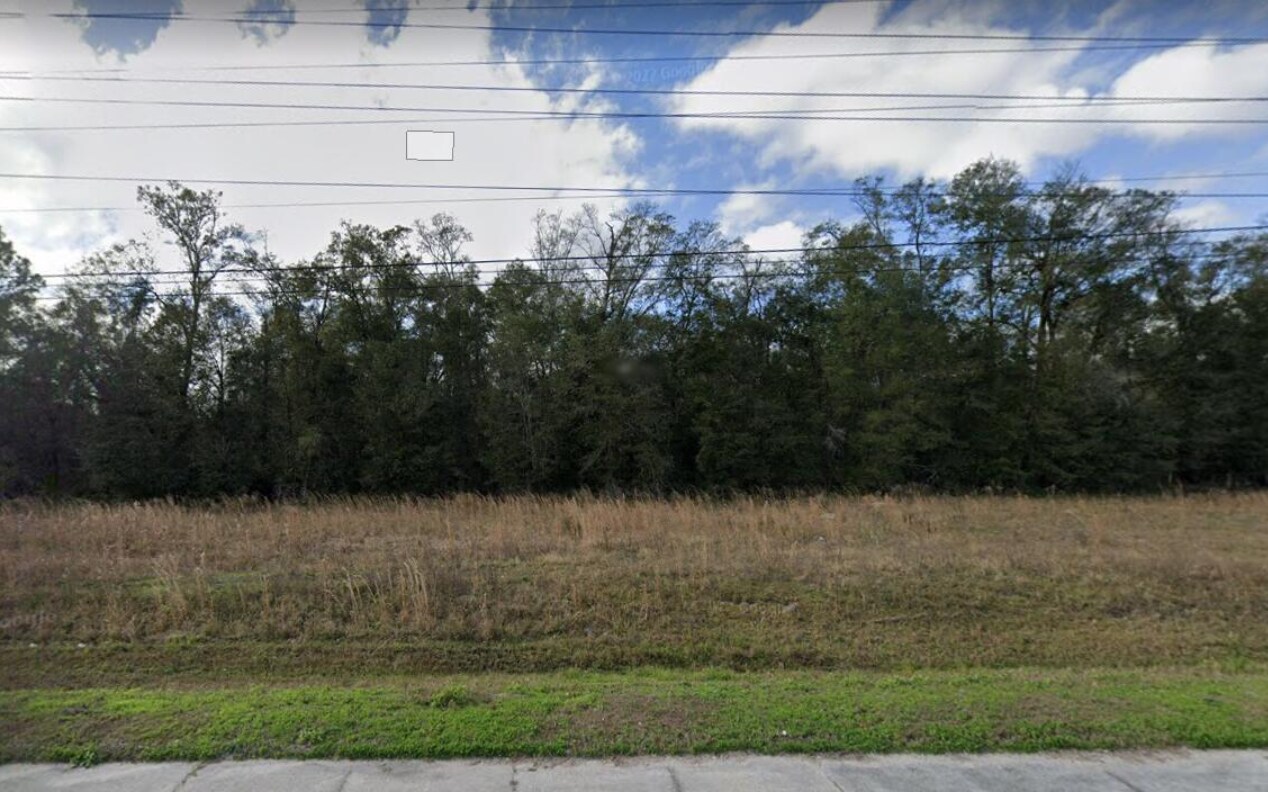 1030 Discovery Dr., Middleburg, FL à vendre Photo principale– Image 1 sur 7