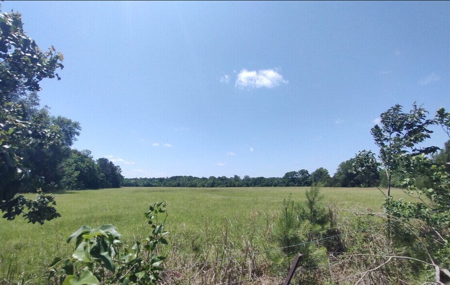 Ravenwood Drive And Bell Road, Selma, AL à vendre - Photo de l’immeuble – Image 1 sur 5