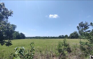 Plus de détails pour Ravenwood Drive And Bell Road, Selma, AL - Terrain à vendre