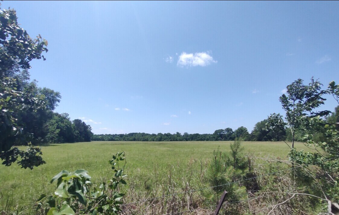 Ravenwood Drive And Bell Road, Selma, AL à vendre Photo de l’immeuble– Image 1 sur 6