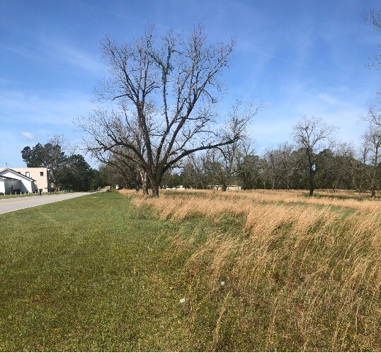 7573 Main St, Claxton, GA à vendre - Photo principale – Image 1 sur 5