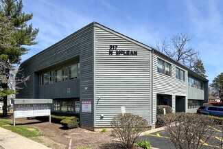 Plus de détails pour 217 N McLean Blvd, Elgin, IL - Bureau à louer