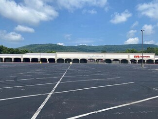 Plus de détails pour 321 Brown's Ferry Rd, Chattanooga, TN - Local commercial à vendre