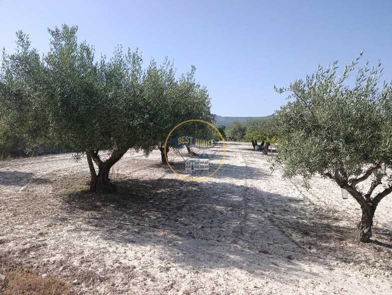 Terrain dans Ontinyent, Valencia à vendre - Photo de l’immeuble – Image 3 sur 12