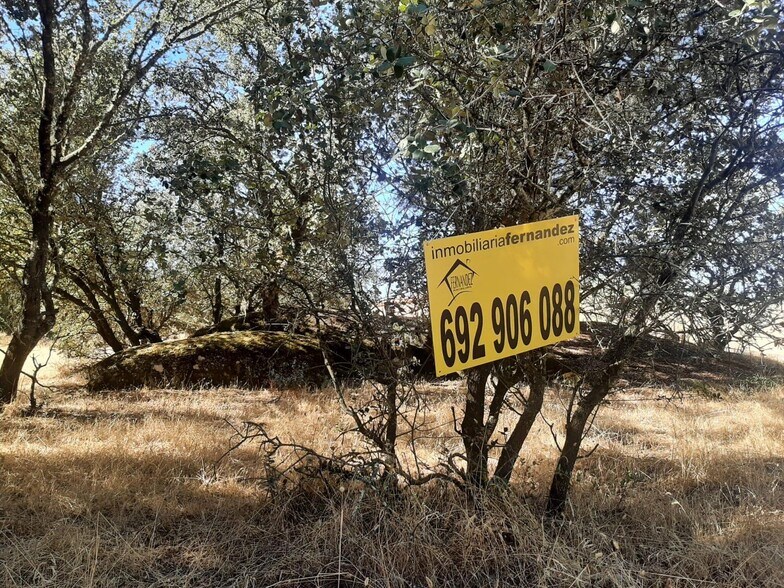 Terrain dans Torreorgaz à vendre - Photo de l’immeuble – Image 2 sur 6