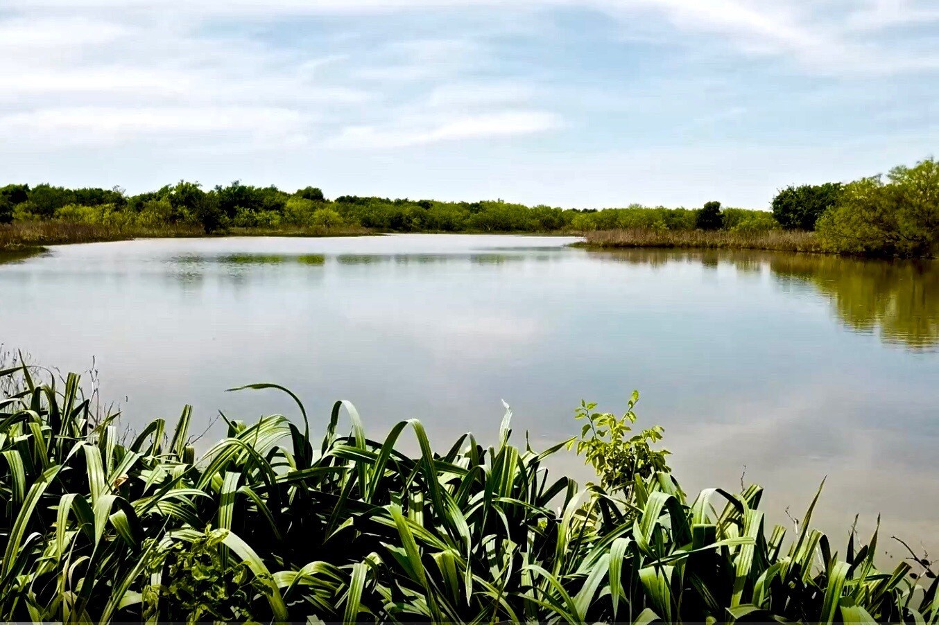 1201 Mcpherson Rd, Fort Worth, TX à vendre Photo principale– Image 1 sur 25