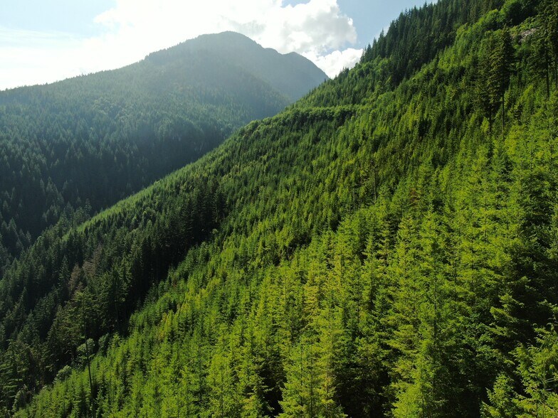 XX Finney Cumberland Road, Sedro Woolley, WA à vendre - Photo de l’immeuble – Image 3 sur 13