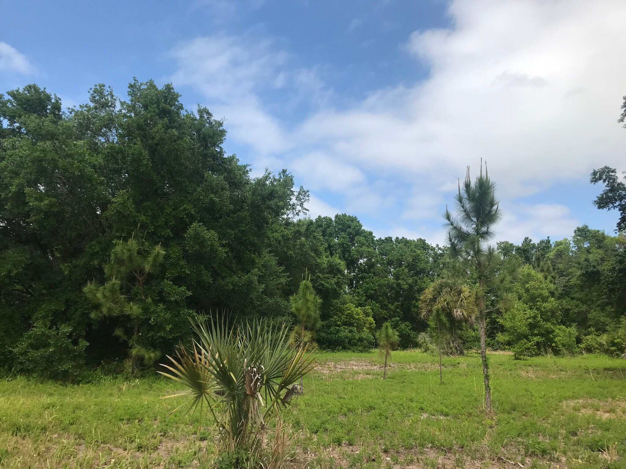5407 W Irlo Bronson Memorial Hwy, Kissimmee, FL à vendre Photo principale– Image 1 sur 7